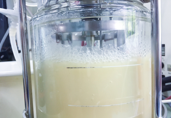 מכל התססה המכיל אתנול ושמרים