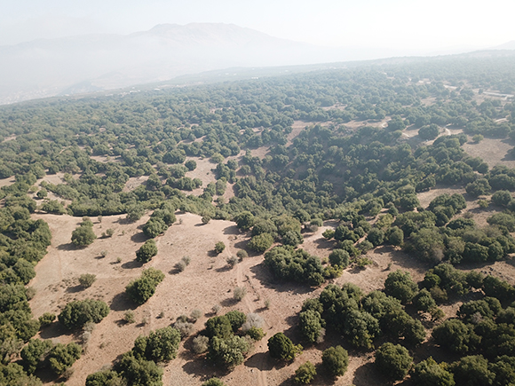 מיישבים את הוויכוח על מנגנון היווצרותם של השקעים. הג'ובה הגדולה ולידה הבינונית והקטנה, ברקע החרמון| צילום: פרופ' עודד אהרונסון, מכון ויצמן למדע