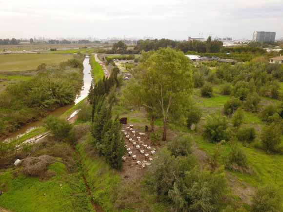כוורות דבורים במושב עדנים | צילום: יאיר לופו, תמונות נוספות בקבוצת פייסבוק "עולם הדבורים"