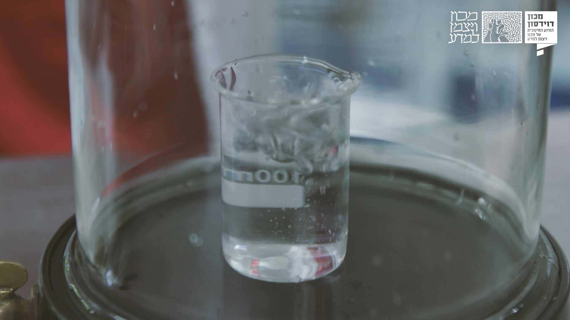 מים רותחים בטמפרטורת החדר בתוך פעמון זכוכית שהאוויר נשאב מתוכו | צילום: עידן גליקזליג