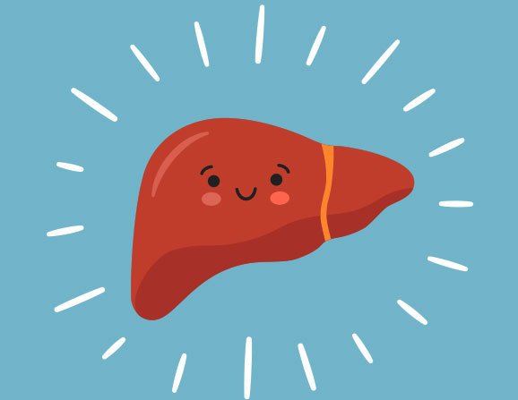 The body’s detoxifier does not need cleaning. Illustration of a happy liver | Image: Elena Pimukova, Shutterstock