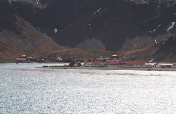 זוועה מאחורי מראה פסטורלי | צילום: ד"ר ליאת בן-דוד