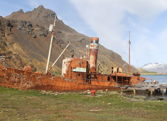 שלד ספינת ציד הלווייתנים פטרל | צילום: ד"ר ליאת בן-דוד