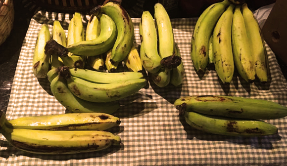 הבננה הגדולה והמוצלחת נכנעה למחלה עקב היעדר שונות גנטית בין הצמחים. בננות גרו מישל | צילום: Shutterstock