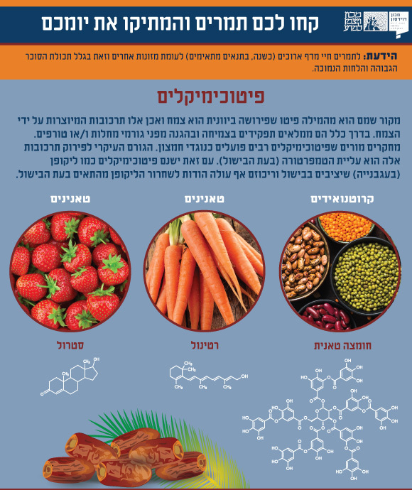 מדעי התמרים. | אינפוגרפיקה: ד"ר דפנה מנדלר ומריה גורוחובסקי