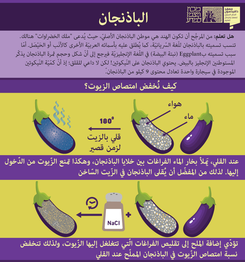 חצילי פרמז'נה אפויים עם גבינת פרמזן | צילום: Davide Zanin Photography, Shutterstock