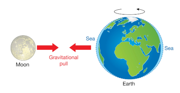 يحدث المدّ في المنطقة الأقرب للقمر وفي المنطقة الأبعد عنه | رسم توضيحي: SCIENCE PHOTO LIBRARY