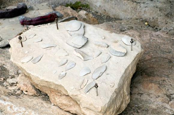 סלע בעל תפקיד בהיסטוריה של האדם: כלי צור של האדם הקדמון שהתגלו בחפירות בנחל מערות בכרמל | צילום: PHOTOSTOCK-ISRAEL / SCIENCE PHOTO LIBRARY