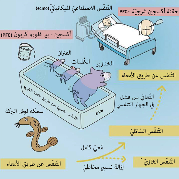 تخطيط موجز للدّراسة | المصدر: Institute of Research,TMDU
