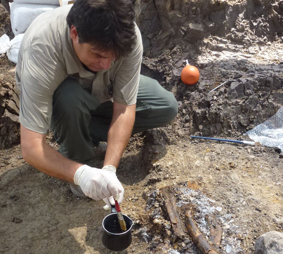 מחפשים רמזים לאן נעלמו התושבים. ד"ר עומרי ברזלי מחזק את עצמות השלד באתר החפירה | צילום: פרופ' אראלה חוברס