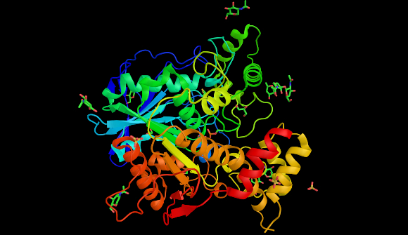 הדמיה של מבנה החלבון בוטירילכולין אסתראז | מקור:  ibreakstock, Shutterstock