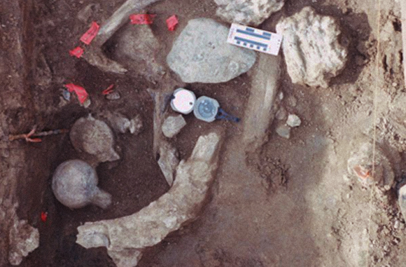 האם ייתכן שאדם השתמש באבנים, ולא נמצאו שום עדויות אחרות לקיומו? ממצאים מזירת המחקר | צילום: San Diego Natural History Museum