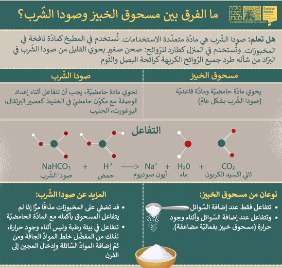 האינפוגרפיקה