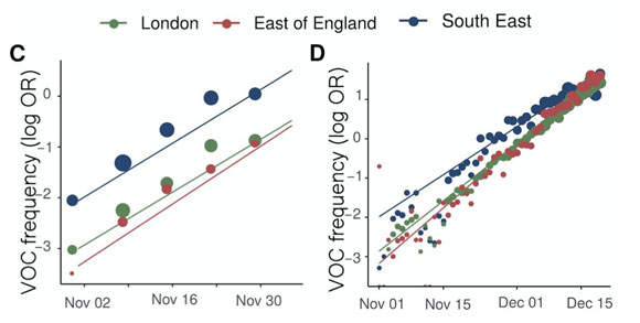  ניתוח גנטי ואפידמיולוגי של התפשטות הווריאנט החדש בבריטניה. הגרף הוא לוגריתמי, כך שההתפשטות היא בקצב מעריכי | מקור: דו"ח של Imperial College מ-31 בדצמבר 2020