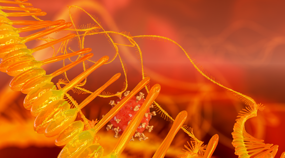 Illustration of a virus next to an mRNA molecule | Shutterstock, Mike Mareen