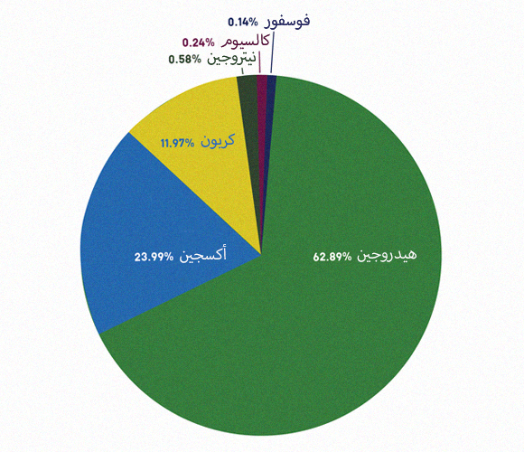 انتشار العناصر الرئيسية في جسم الإنسان ( 0.18% أخرى لا يشملها التخطيط) | تخطيط: عميت شراجا، ماريا غوروخوفسكي