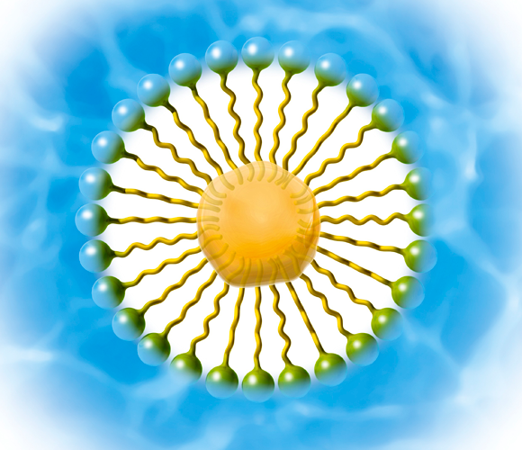 אילוסטרציה של חלקיק סבון | SPL, Claus Lunau