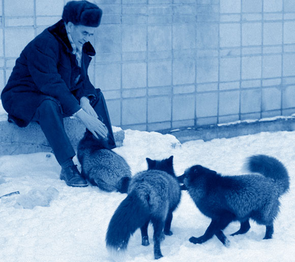 בליאייב משחק עם השועלים הידידותיים | SPL, Sputnik