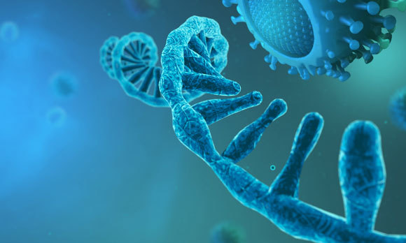 זיהוי הרצף הגנטי של הנגיף עומד בבסיס הבדיקות השונות. אילוסטרציה של מולקולת RNA ונגיף קורונה | CROCOTHERY, Shutterstock