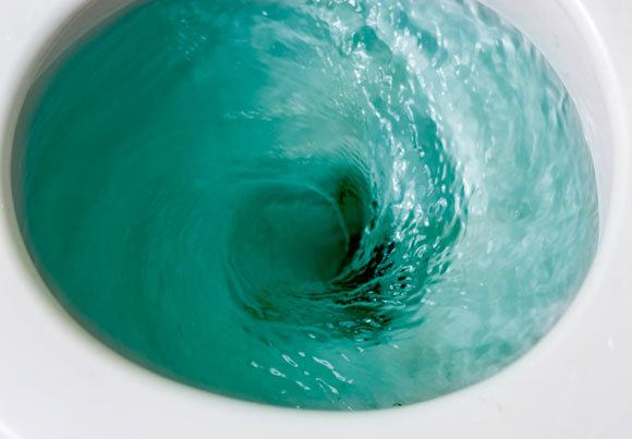 זרימה מעגלית באסלה | צילום: narong sutinkham / Shutterstock