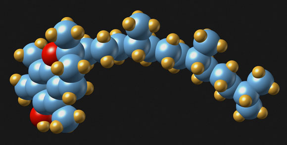 נמצא באתר הפגיעה, אם כי עדיין לא נמצא קשר ישיר שלו לתחלואה. ויטמין E | איור: Science Photo Library