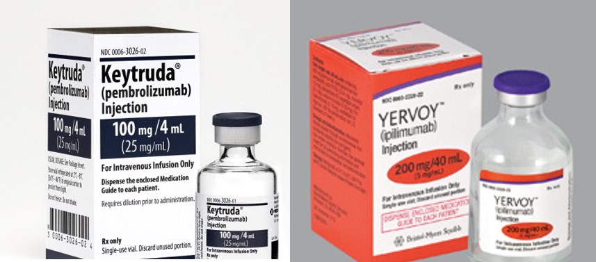 תרופות פורצות דרך במלחמה בסרטן. ירבוי המבוססת על העבודה של אליסון וקיטרודה שפותחה על סמך עבודתו של הונג'ו