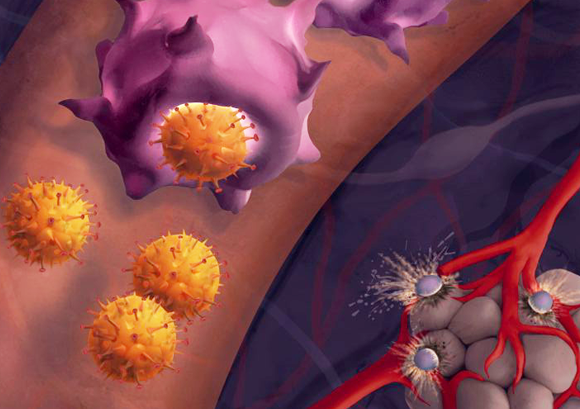 × × ×-×××¡×× ×××××¨ ××ª ××¨×××©××ª ×©× ×¡×¨×× ××¢××¨ ×××××× ××ª×¨×¤×× ×××××× ×××¨× ×ª×× ××¡×¨×× | ××××¨: ××¢×× ××¨××, ××× ' ×ª"×