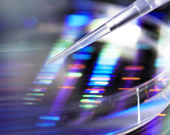 בדיקת DNA | אילוסטרציה: Science Photo Library