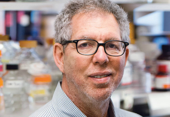 הורמון שחשף את מנגנון ויסות הרעב ושימש לפיתוח טיפולים נגד השמנה. ג'פרי פרידמן | צילום: קרן וולף
