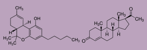 נוסחה זהה, חומרים שונים. מימין:פרוגסטרון, משמאל: THC (כל מפגש קווים מציין אטום פחמן) | תרשימים: ויקיפדיה