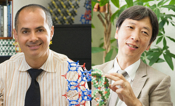 מבנים מולקולריים שנחשבו בעבר בלתי אפשריים. פוג'יטו (מימין) ויאר'י | צילומים: אוניברסיטת טוקיו, ויקיפדיה