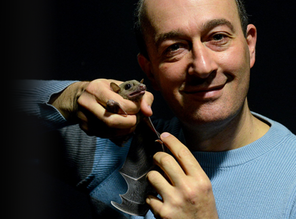 התאים מופעלים בהתאם ליעד. אולנובסקי עם עטלף | צילום: איתי בלסון, מכון ויצמן למדע