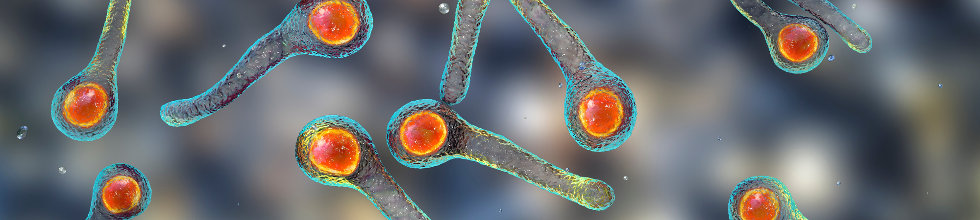 أمراضٌ بلا حدود: يقع الأطفال ضحايا لأمراضٍ يمكن تغاضيها باللّقاحات الوقائيّة