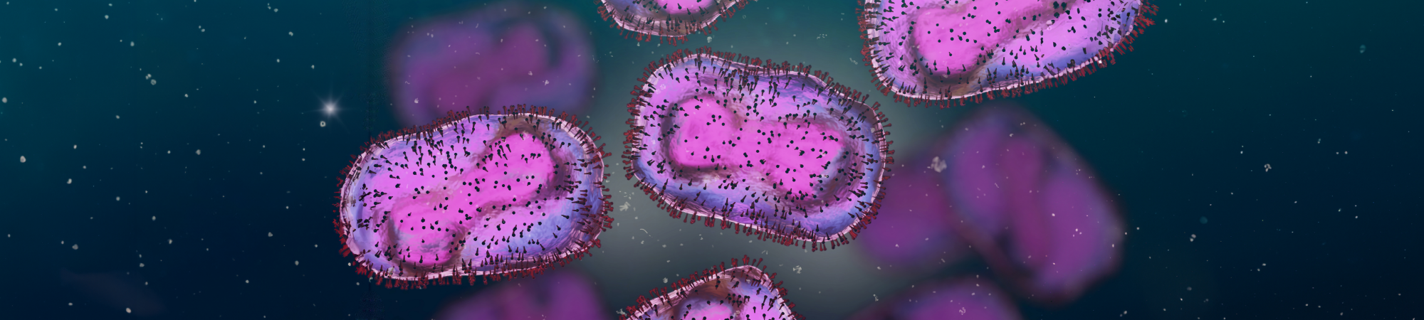 أمراض بلا حدود- أهميّة الاستجابة