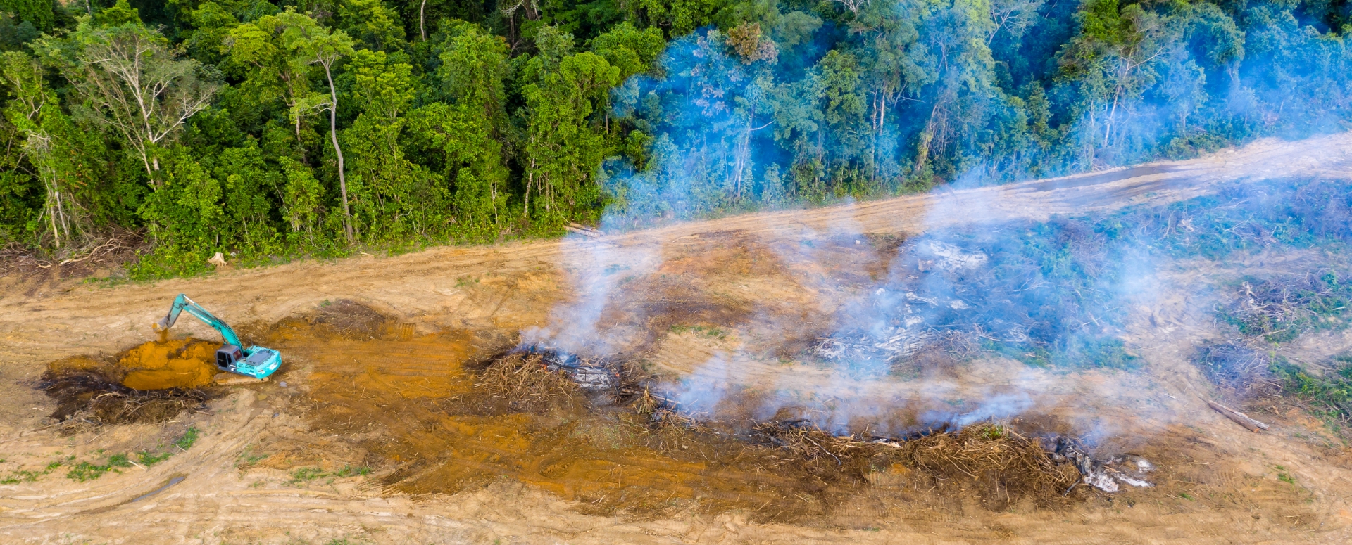 גשם בסכנת הכחדה