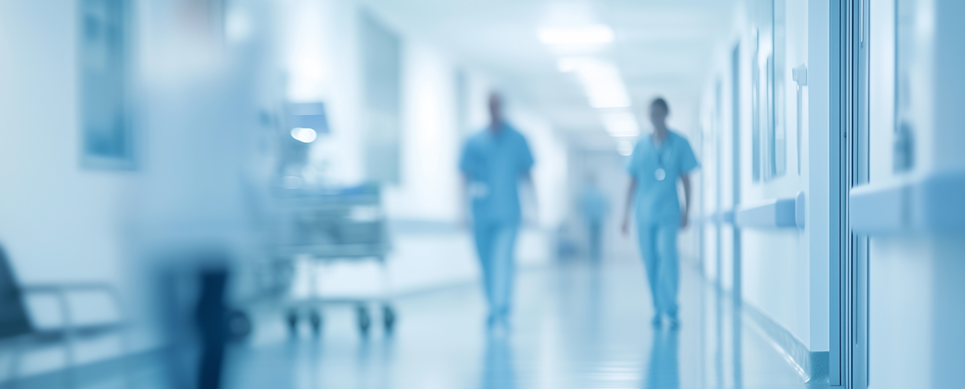 מחלות ללא גבולות: השפעת מגיעה, החצבת עדיין כאן