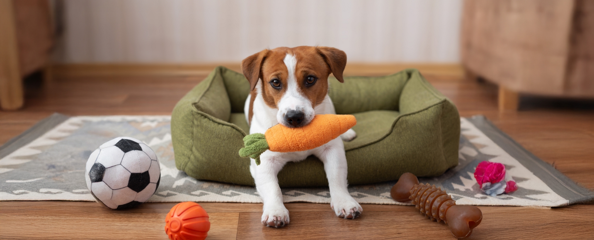 מכורים למשחק