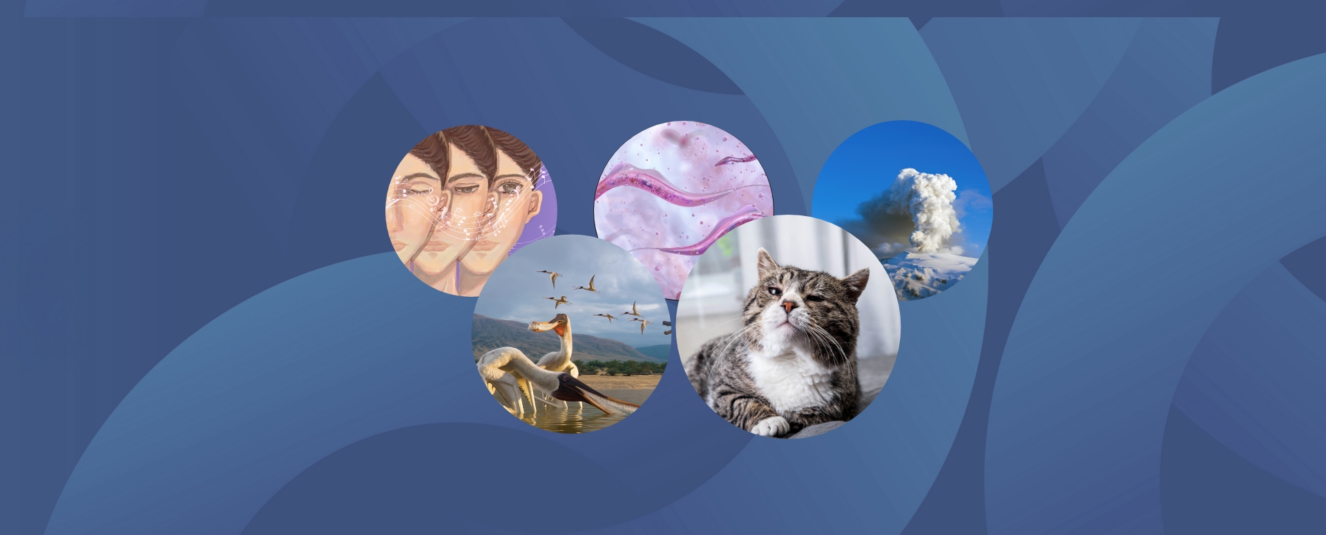 המחקרים החדשים ביותר: מהנשמדע 29/11/2025