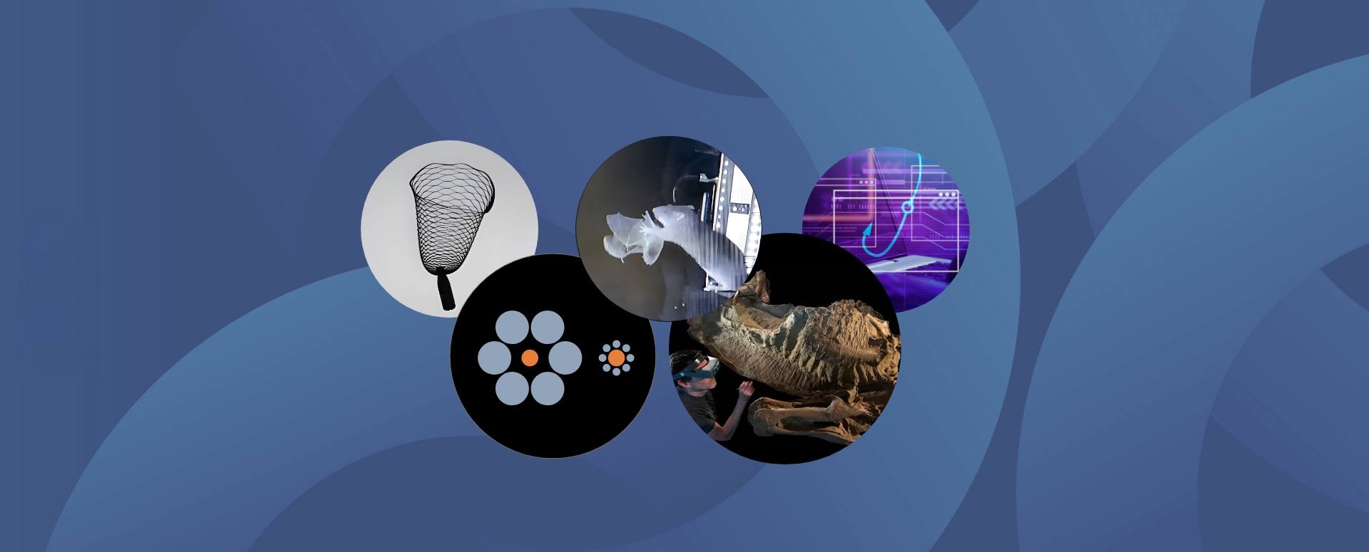 המחקרים החדשים ביותר: מהנשמדע 8/11/2025