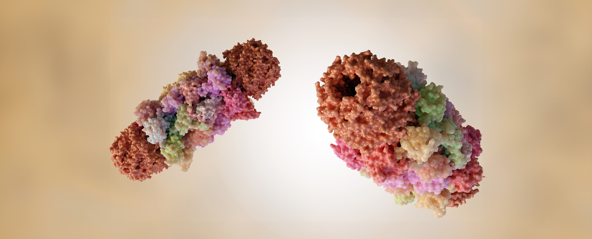 מחקר ישראלי בין עשרת המשפיעים של Nature