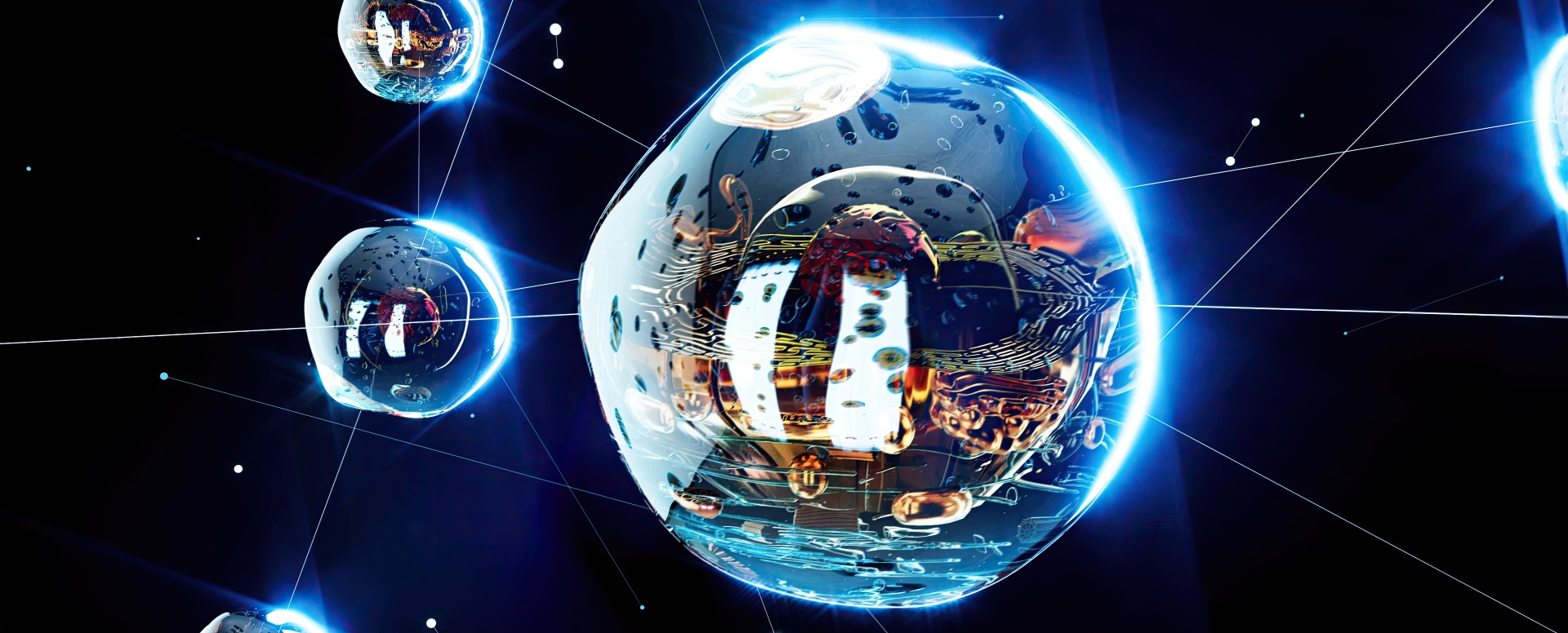 ביולוגיה ישראלית במיקרו כבידה: השבוע בחלל