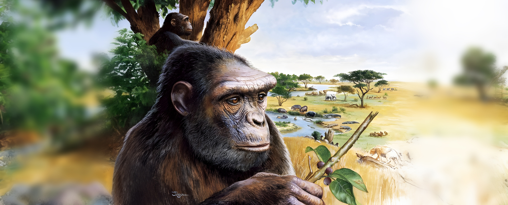 מתי התחלנו ללכת על שתיים?