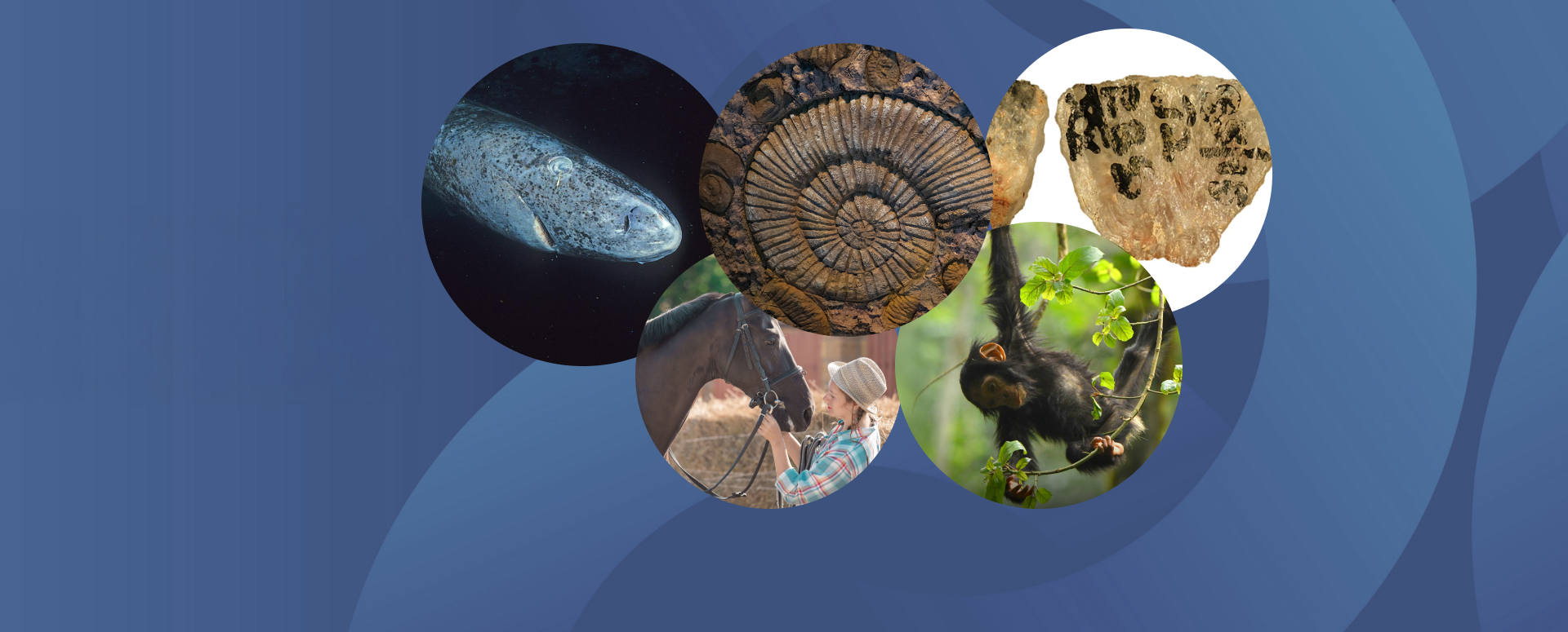 המחקרים החדשים ביותר: מהנשמדע 30/1/2026