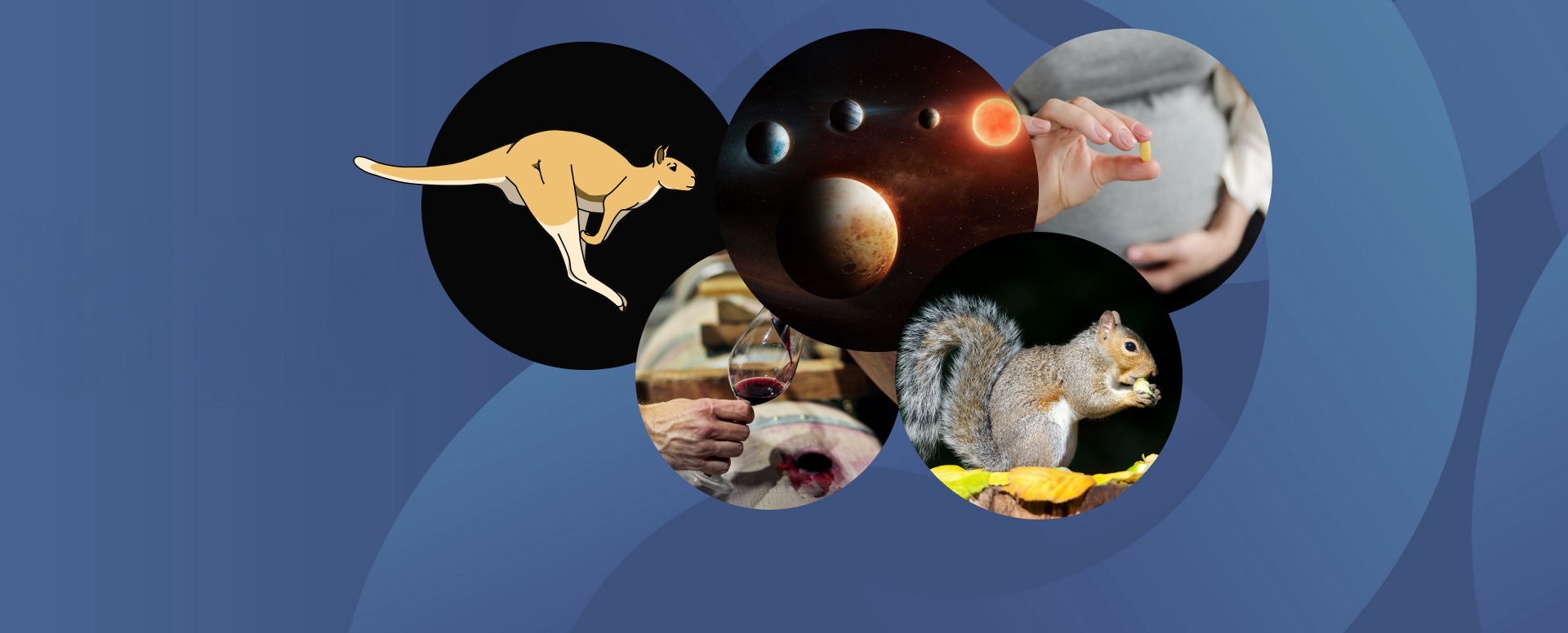 המחקרים החדשים ביותר: מהנשמדע 20/2/2026