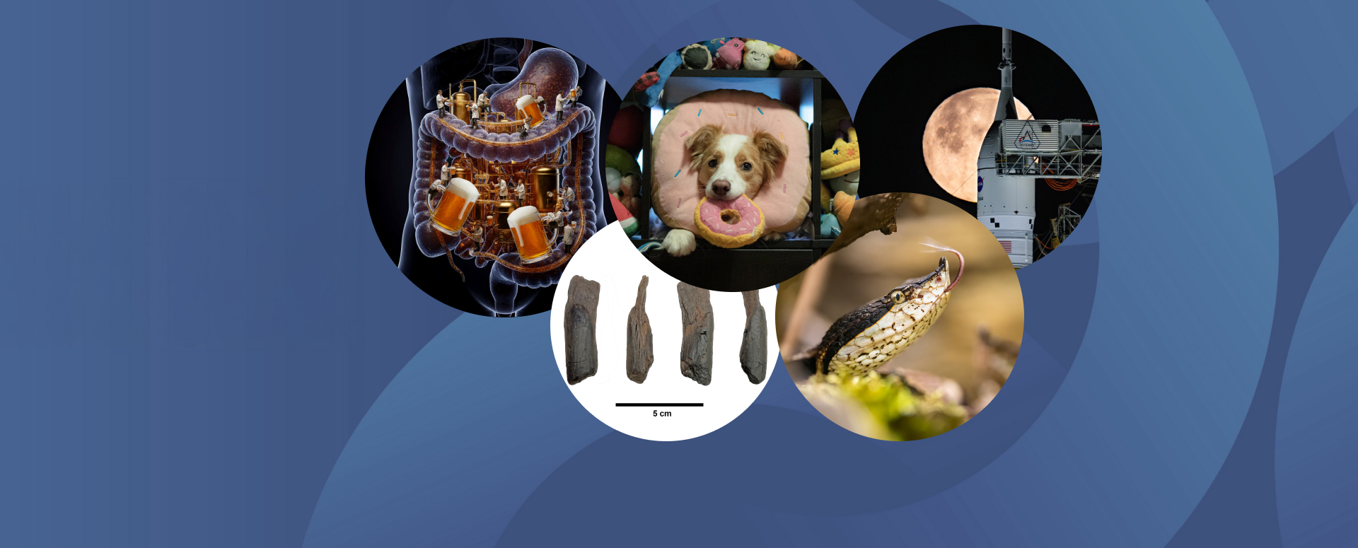 כותרת: המחקרים החדשים ביותר: מהנשמדע 6/2/2026